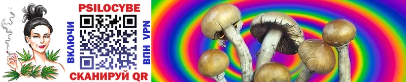 цены наркотик площадка наркотические препараты Псилоцибиновые грибы Magic Shrooms Оренбург